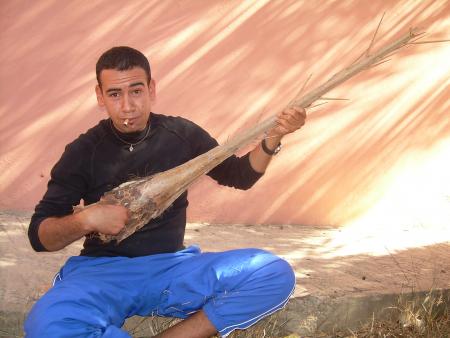 voila comidi mustapha