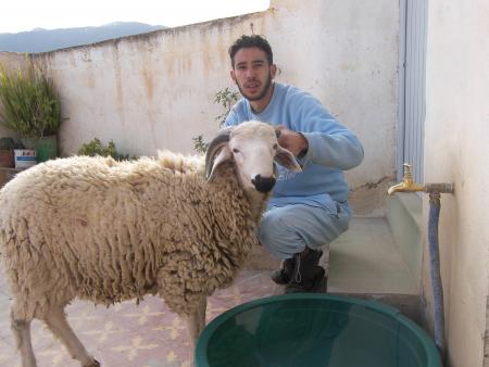 مبروك عيدكم